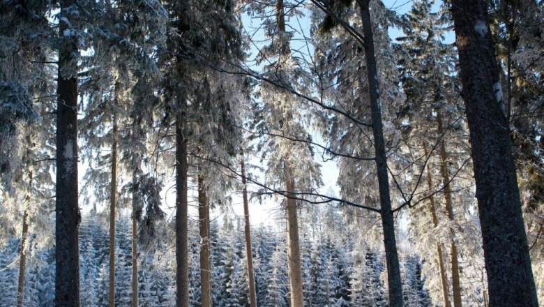 Zur Ruhe kommen und Kraft tanken, &copy; weinfranz.at