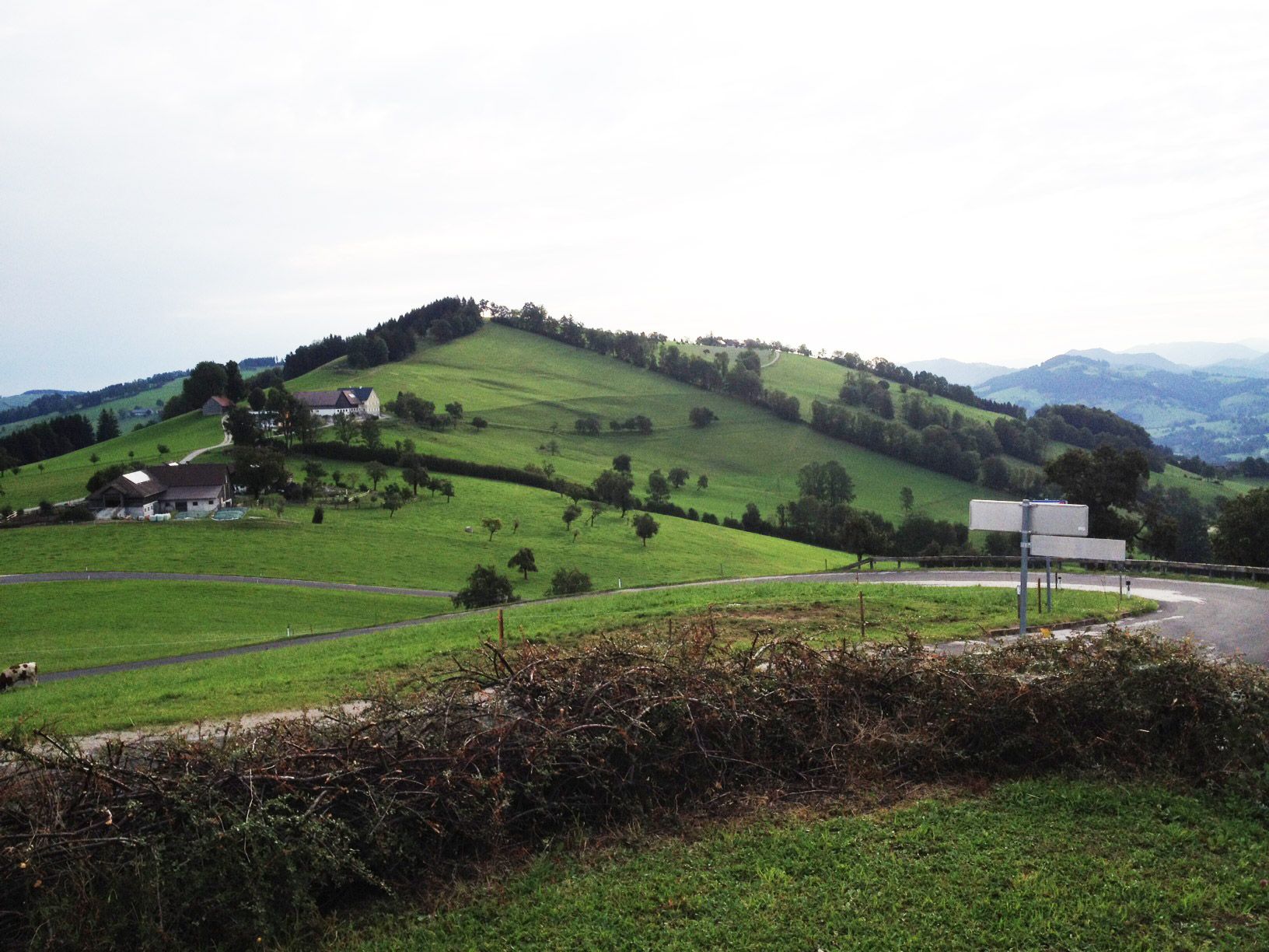 Landschaft mit grünen Hügeln, Bauernhäusern und einer kurvigen Straße.