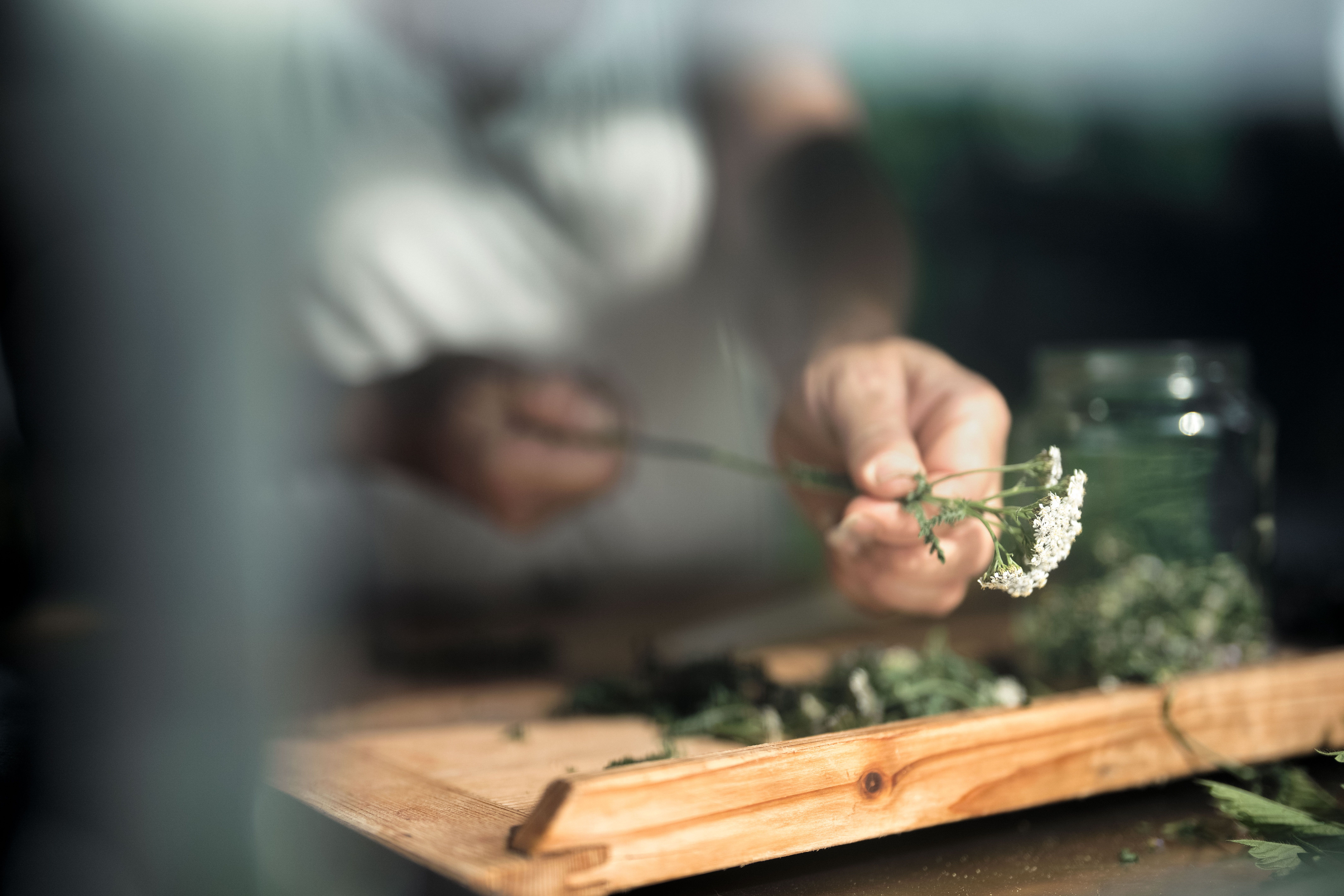 Kräutergarten Wohlbehagen