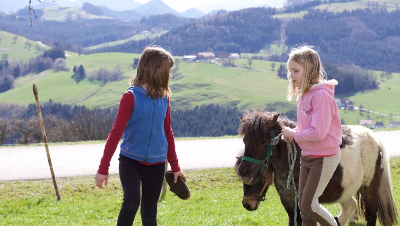 Children with pony, &copy; Panstingl