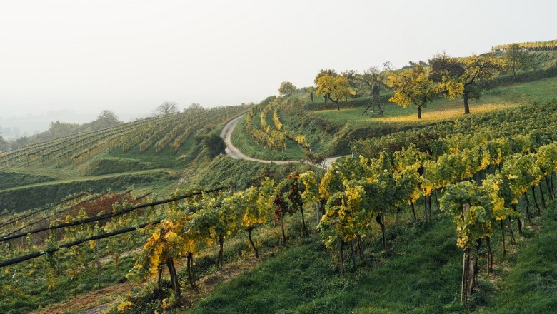 Weinkultur Preiss, &copy; Julius Hirtzberger