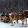 Sledging in winter, &copy; Familie Gasteiner