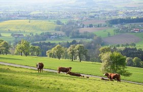 Ein sch&ouml;ner Ausblick, &copy; Marktgemeinde Seitenstetten