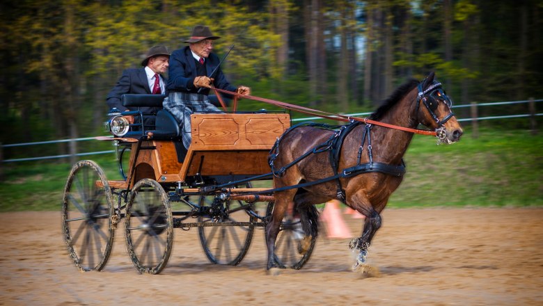 Karlstetten Driving and Riding Club, &copy; Gerty Schabas
