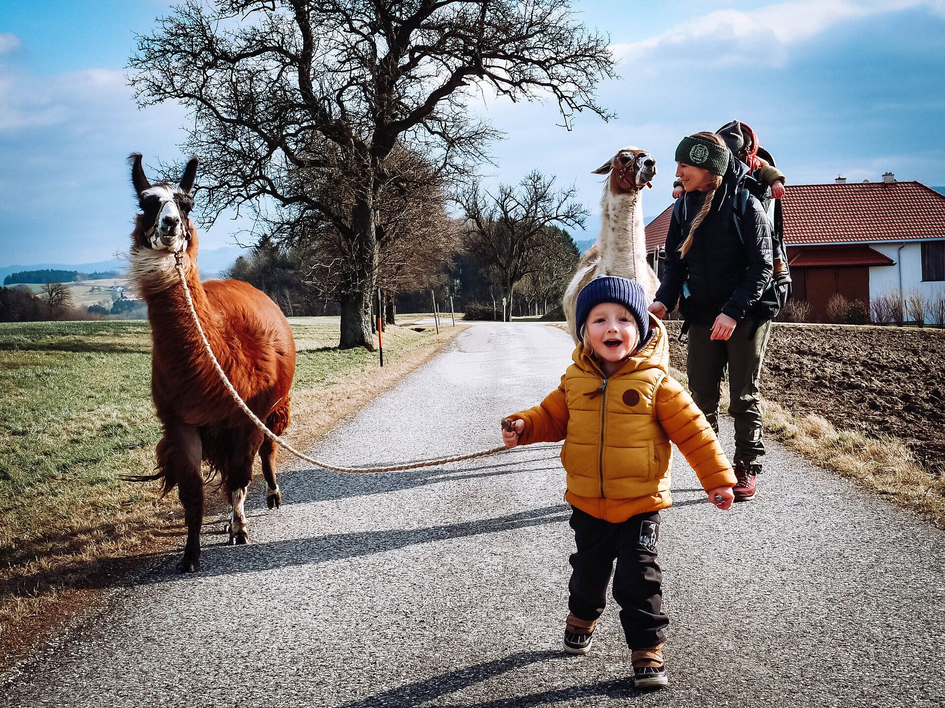 Ein fröhlicher Junge zieht mit einem strahlenden Lächeln zwei Lamas an der Leine über einen malerischen Weg. Die sanfte Winterlandschaft um ihn herum strahlt Ruhe und Freude aus, während die Lamas neugierig die Umgebung erkunden. Diese harmonische Szene lädt dazu ein, die Schönheit der Natur und die Freude an tierischen Begleitern zu genießen.