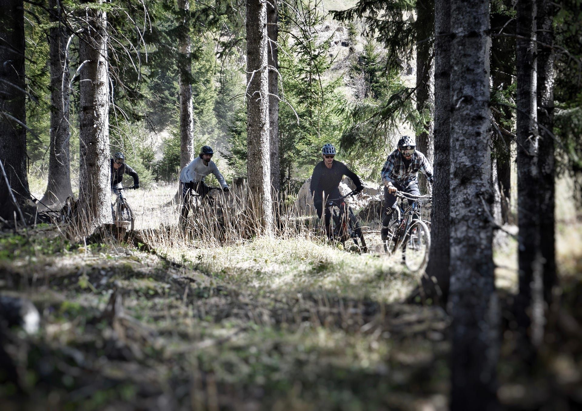 Josiberg Trails in Mitterbach