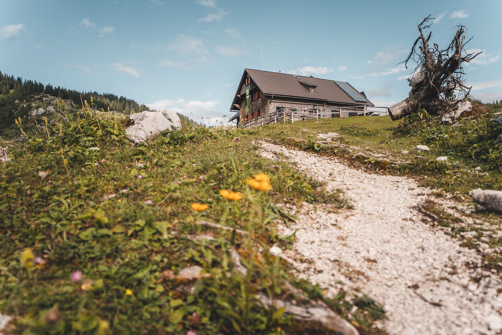 Wanderweg bei der Ybbstalerhütte im Gebiet des Lunzer Sees.