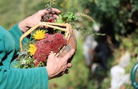 Person hält einen Korb mit bunten Blumen und Kräutern im Garten.