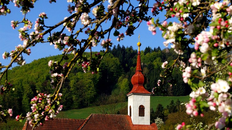 Kirche in St. Veit/Gölsen mit blühenden Zweigen im Vordergrund.