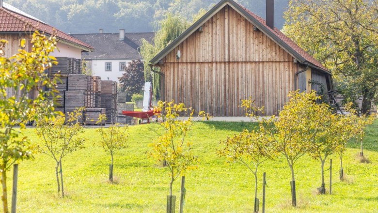 NUSSLAND, the nutcrackers that refine, &copy; Theo Kust