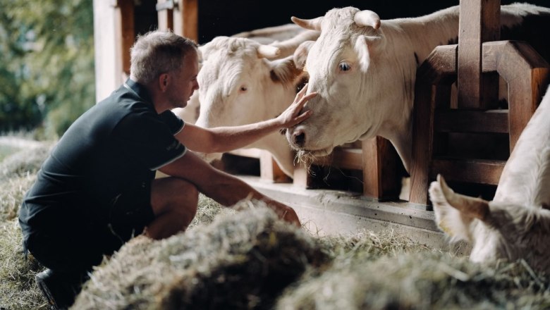Mostheuriger & Hofladen Hauer, © Moststraße, dochbodnliacht