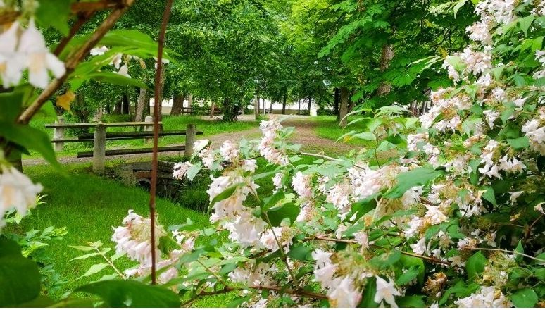 Schlosspark St. Leonhard am Forst, © Josef Motusz