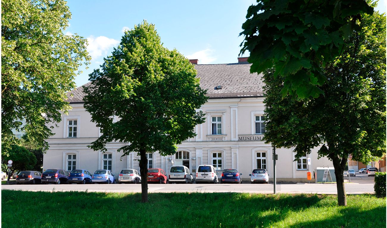 Ein weißes Gebäude mit der Aufschrift 'Museum', umgeben von Bäumen und parkenden Autos.