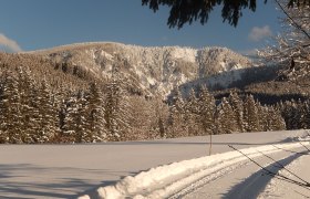 Cross-country skiing on the doorstep, &copy; Karin Redlsteiner
