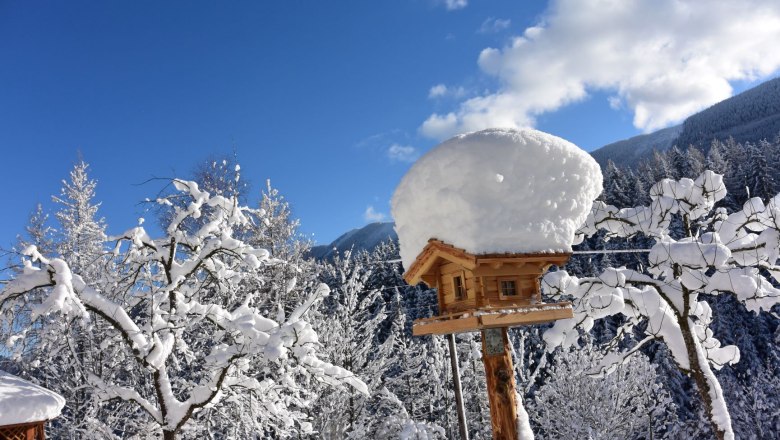 Vogelh&auml;uschen, &copy; Doris Jagersberger