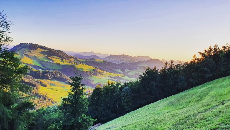 IMG_20220702_205644_850, © Familie Schweighuber