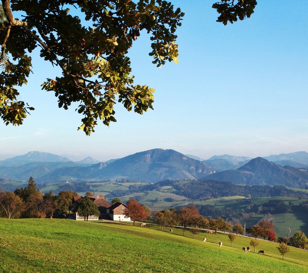 Blick über die weitläufige Landschaft am Panoramahöhenweg