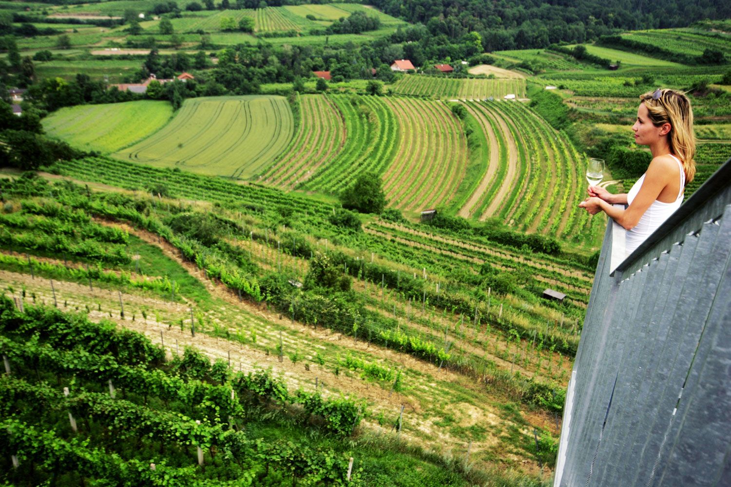 Frau mit Weinglas blickt von einem Aussichtspunkt auf grüne Weinberge.