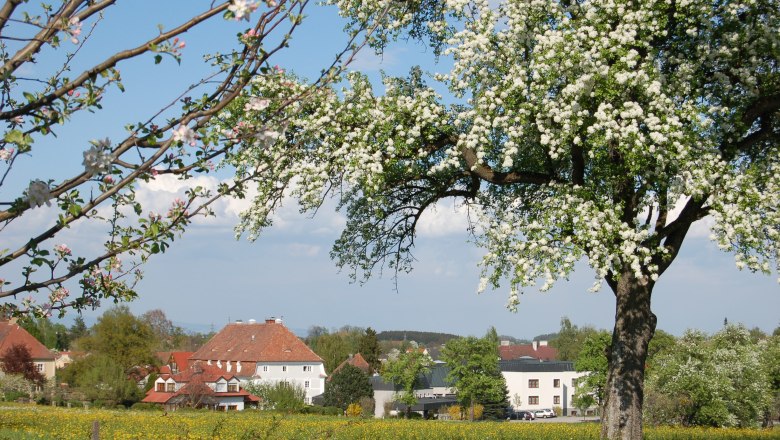 St. Benedikt Education Center, © BZ St. Benedikt
