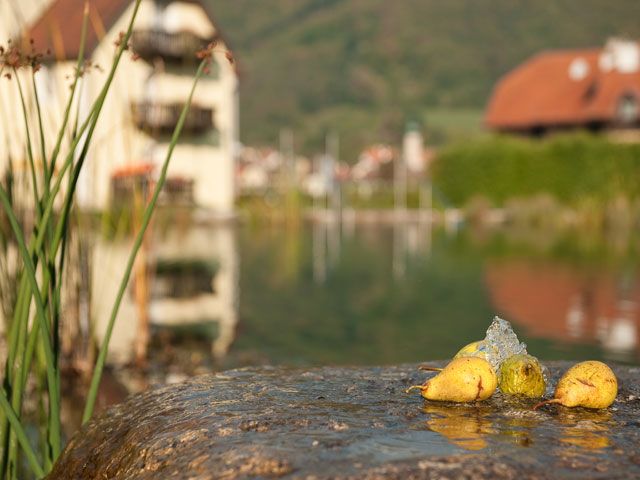 Birnen auf einem Stein am Rand eines Teiches mit unscharfem Hintergrund.