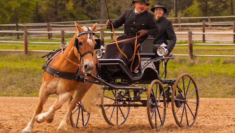 Karlstetten Driving and Riding Club, &copy; Gerty Schabas