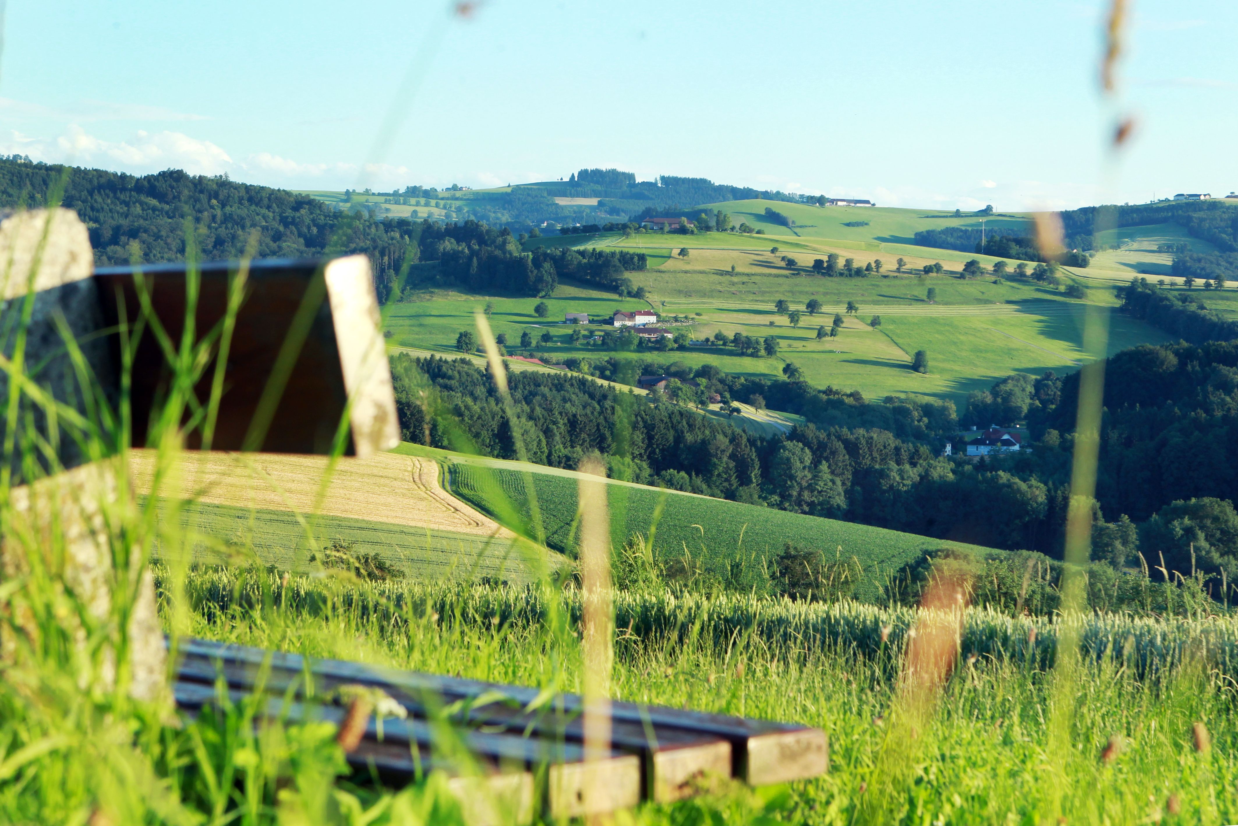 startfoto_koenigshufenweg