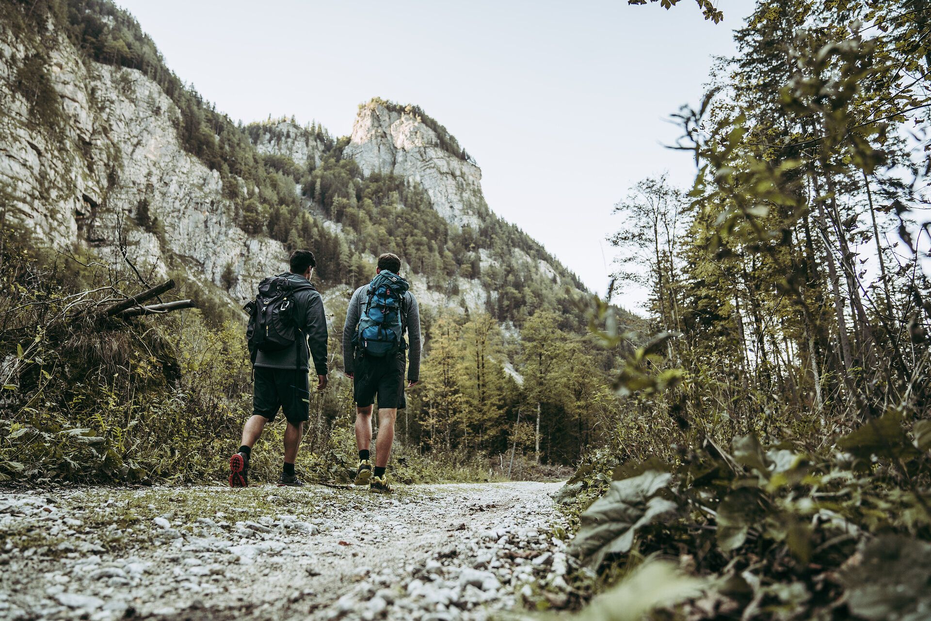 Zwei Wanderer genießen die frische Bergluft und die atemberaubende Landschaft der Ybbstaler Alpen. Umgeben von majestätischen Felsen und üppigem Grün, führt der Weg durch eine unberührte Natur, die zum Verweilen und Staunen einlädt.