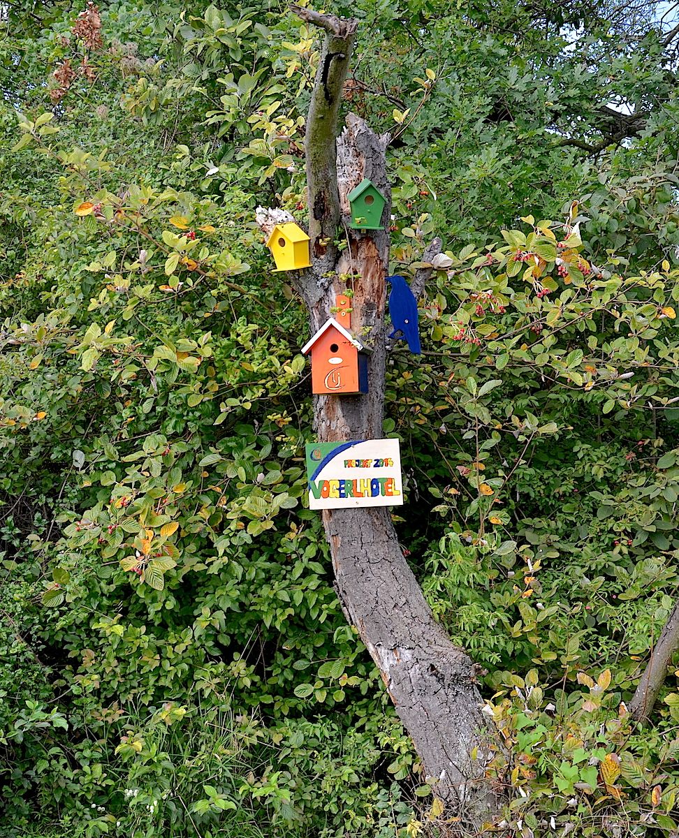 Ein Baumstamm mit bunten Vogelhäuschen und einem Schild mit der Aufschrift 'Vogelhotel' inmitten von grünem Laub.