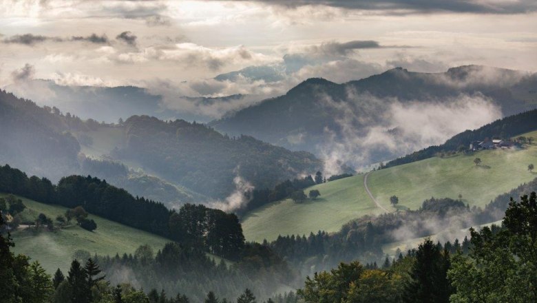 Panoramahöhenweg im Herbst, © schwarz-koenig.at