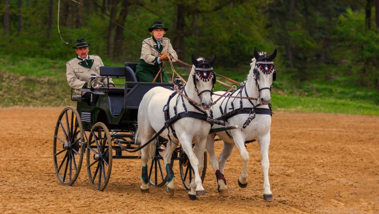 Karlstetten Driving and Riding Club, &copy; Gerty Schabas