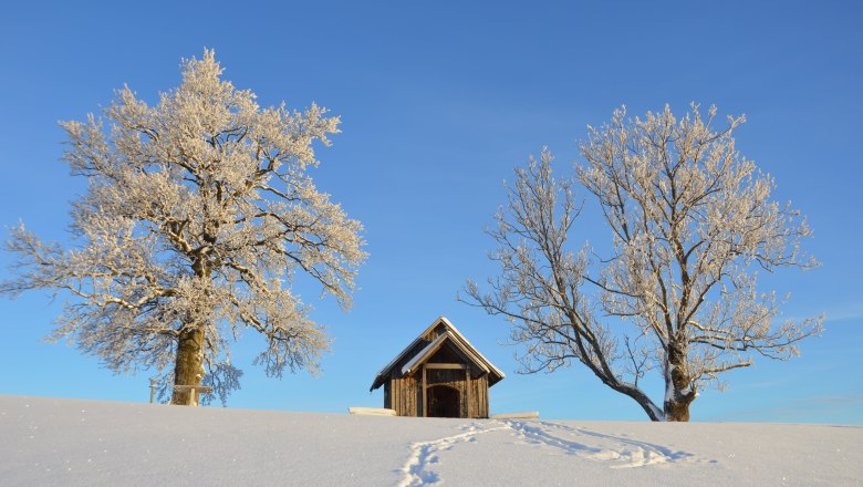 Strahlend blauer Himmel im Winter, &copy; Gottfried & Rosina Wagner
