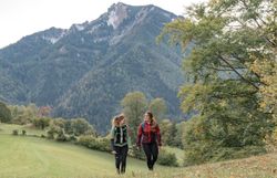 Zwei Wanderer genießen die frische Herbstluft und die atemberaubende Aussicht auf die Ybbstaler Alpen. Umgeben von bunten Blättern und sanften Hügeln, strahlt die Natur in voller Pracht und lädt zu unvergesslichen Erlebnissen ein.