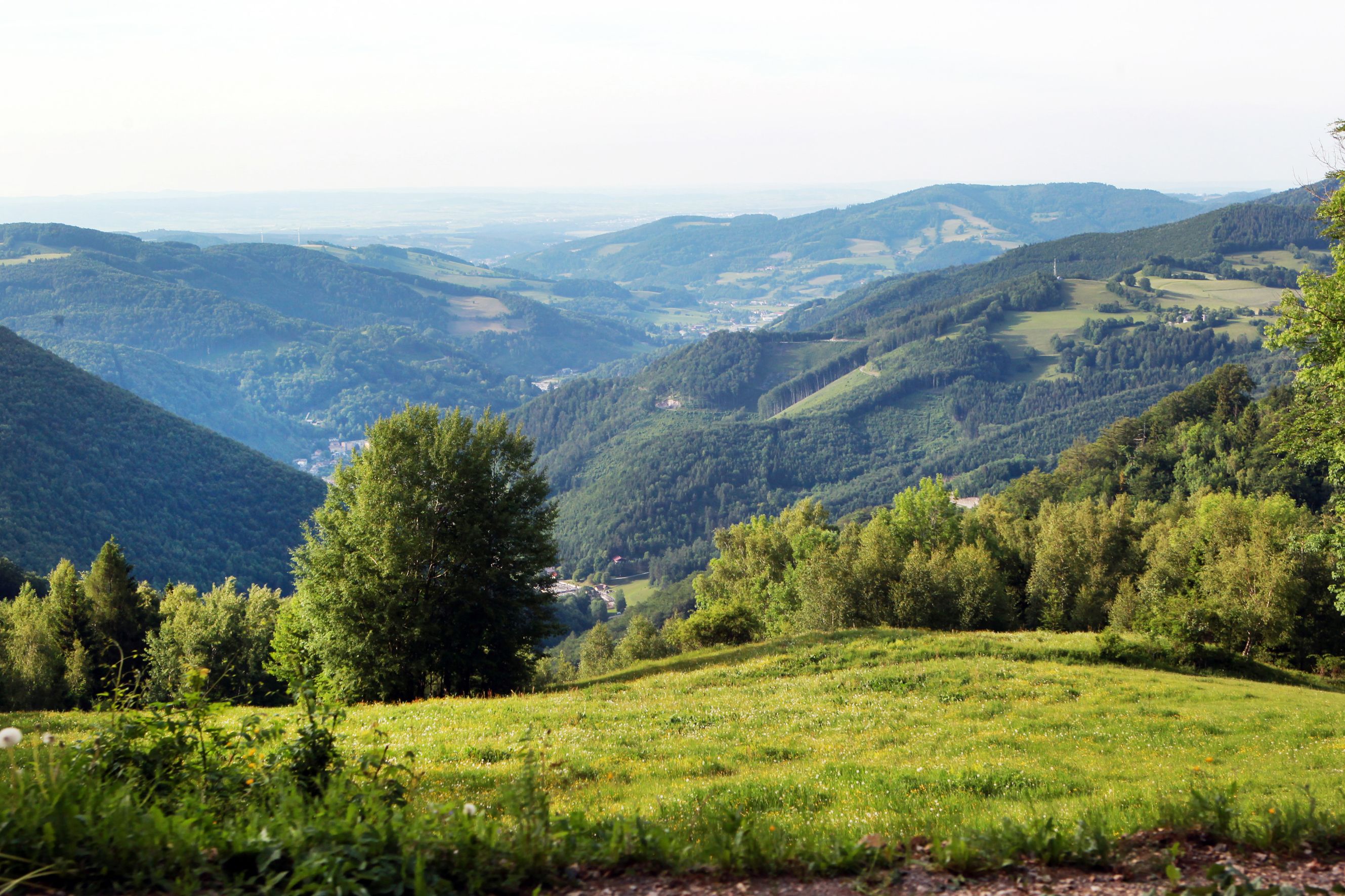 Ausblick vom Muckenkogel