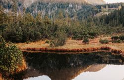 Die sanften Hügel spiegeln sich im ruhigen Wasser der Rothschildteiche wider, während die goldenen Herbstfarben die Landschaft in ein warmes Licht tauchen. Hier, umgeben von der majestätischen Natur des Mostviertels, lädt die Stille zum Verweilen und Entspannen ein.