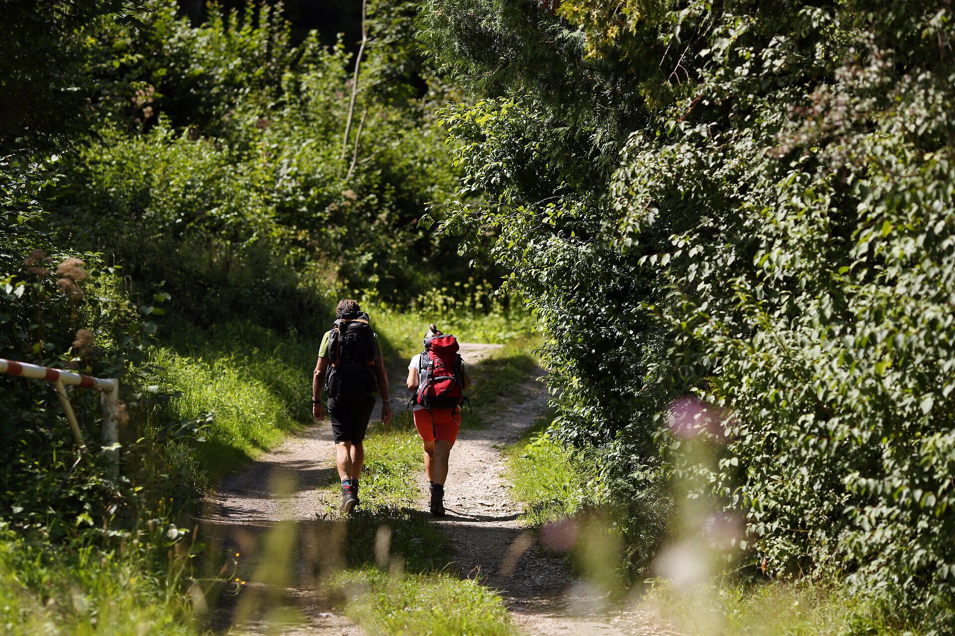 Auf einem malerischen Wanderweg schlendern zwei Pilger durch die üppige, grüne Landschaft. Umgeben von dichten Bäumen und blühenden Pflanzen, genießen sie die Ruhe und den Frieden der Natur. Diese Pilgerwanderung auf der Via Sacra verspricht unvergessliche Erlebnisse und atemberaubende Ausblicke.