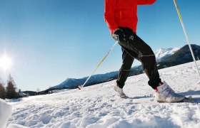 Cross-country skiing through the snow, © weinfranz.at