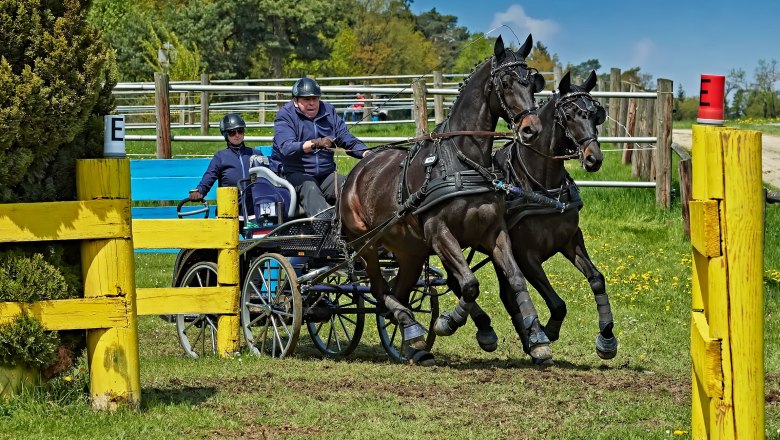 Karlstetten Driving and Riding Club, &copy; Gerty Schabas