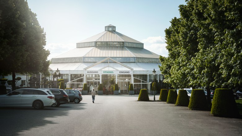 Starkl, © Moststraße / dochbodnliacht