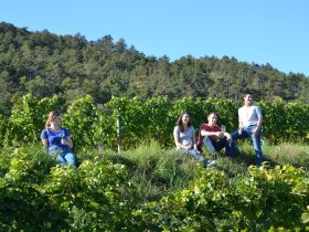 Pihen&eacute;s a szőlőskertekben, &copy; Walter Pernikl