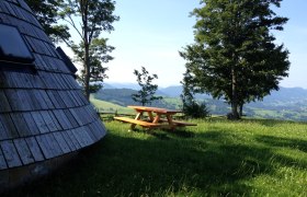 Wooden hut and picnic table on a meadow with trees and mountain views.