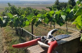 Biohof Bauer, © Bauer Biohof