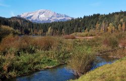 Die majestätischen Gipfel des Ötschers erheben sich stolz über die sanften Hügel und den glitzernden Erlaufstausee. Umgeben von üppigem Grün und bunten Herbstfarben, lädt diese idyllische Landschaft zum Verweilen und Entdecken ein. Hier, wo die Natur in voller Pracht erstrahlt, spürt man die Ruhe und den Zauber der Berge.