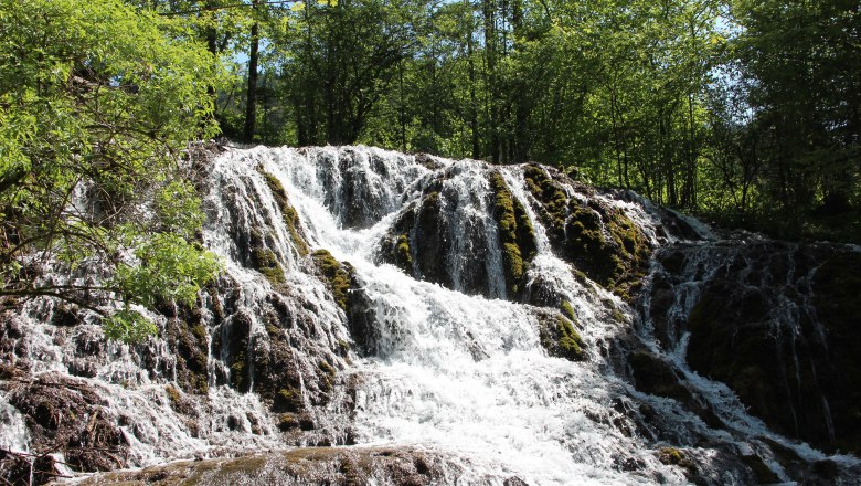 A waterfall flows over moss-covered rocks, surrounded by green trees.