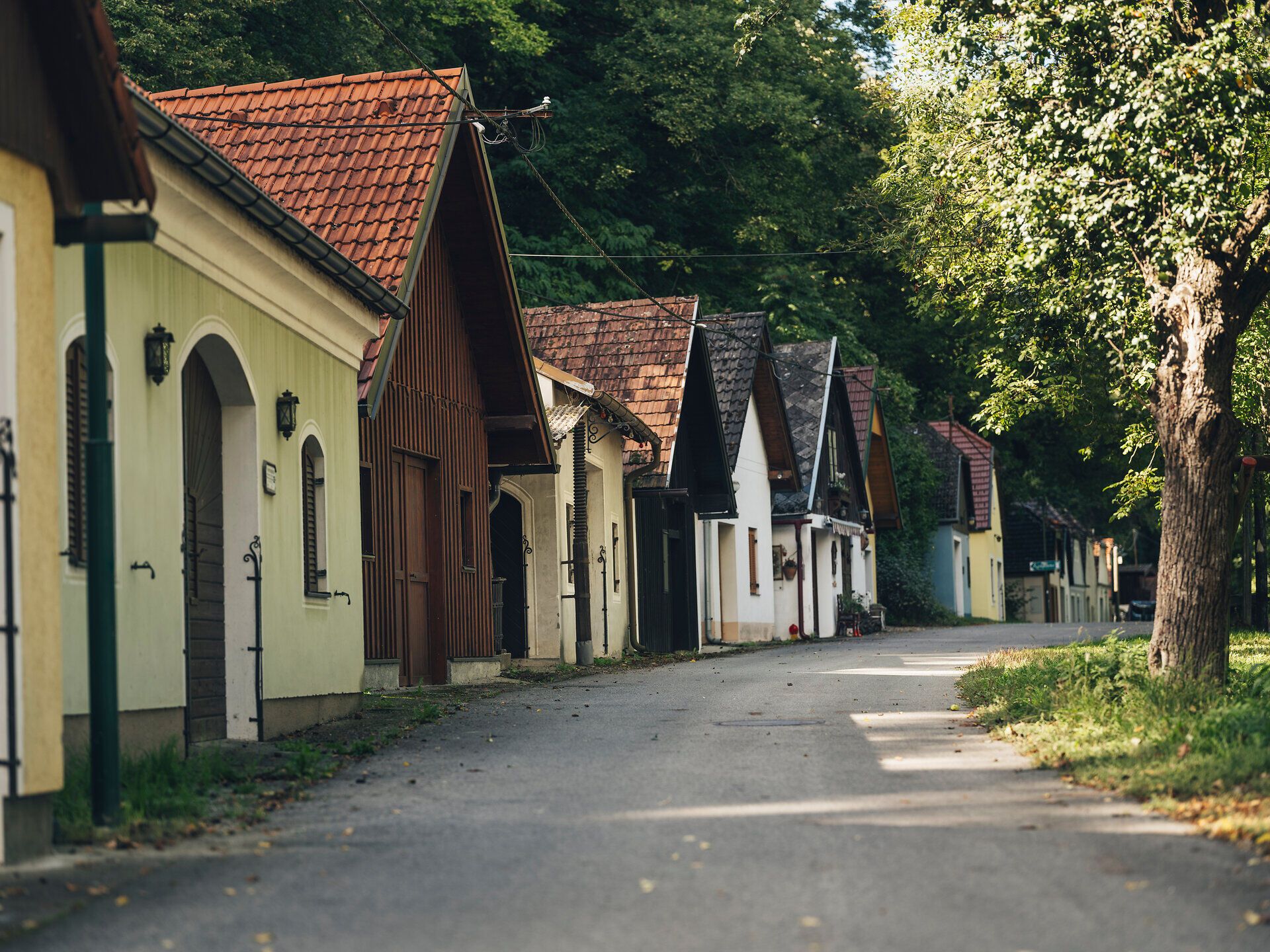 Eine ruhige Kellergasse mit traditionellen Weinkellern und Bäumen entlang der Straße. Die Aufnahme zeigt die Ahrenberger und Eichberger Kellergasse im Traisental, Niederösterreich.