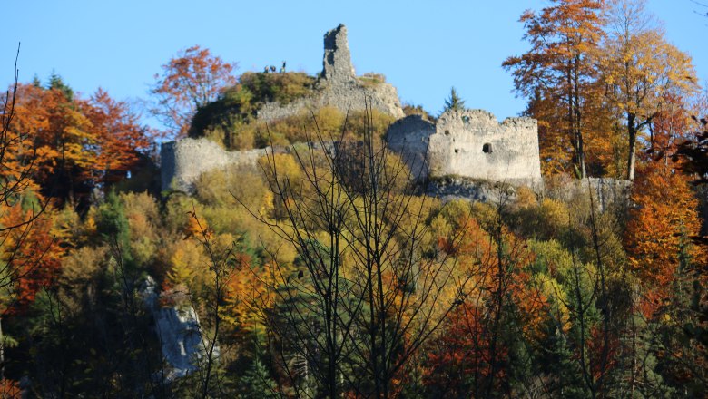 Ruins of Hohenberg Castle surrounded by autumnal trees.