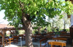 Ein Gastgarten mit Holzb&auml;nken und Tischen unter einem gro&szlig;en Baum.
