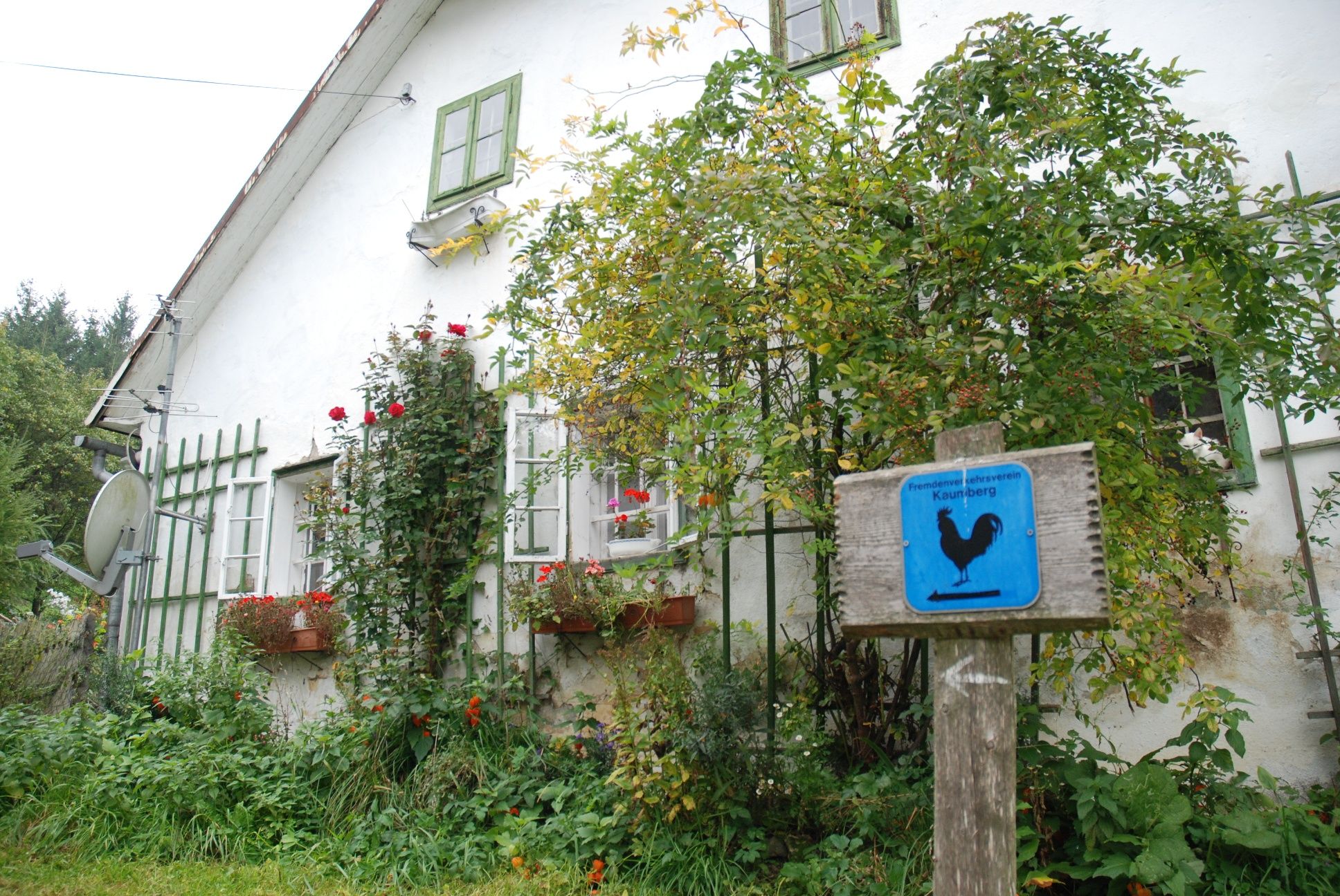 Rückweg beim Hof Ebner