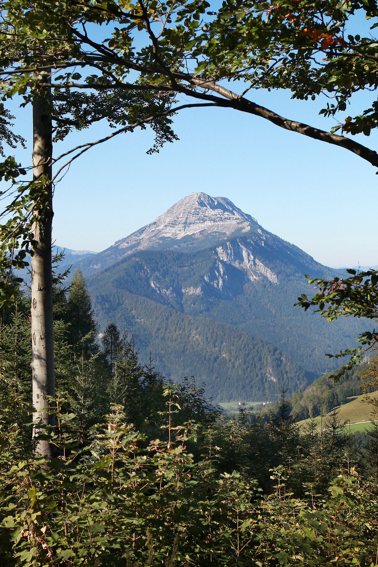 Die majestätische Silhouette des Ötschers erhebt sich stolz über die sanften Hügel des Mostviertels. Umgeben von üppigem Grün und blühenden Wiesen, lädt die Landschaft dazu ein, die frische Bergluft zu genießen und die Seele baumeln zu lassen. Ein perfekter Ort, um die Schönheit des Sommers in den Bergen zu erleben.