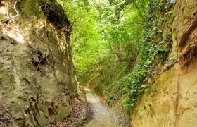 Wechtl-Rundwanderweg, &copy; Stadtgemeinde Traismauer
