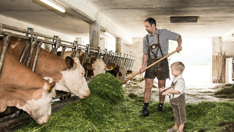 Lassingbauer, &copy; Wolfgang Wutzl